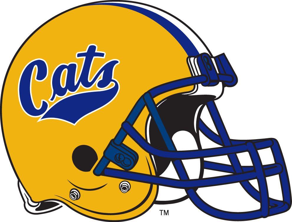 Montana State Bobcats 1984-1990 Helmet Logo diy DTF decal sticker